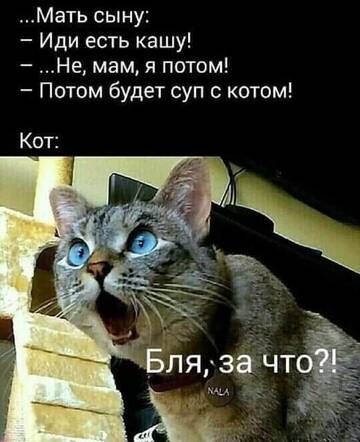 https://upforme.ru/uploads/000d/6b/61/4550/t751190.jpg