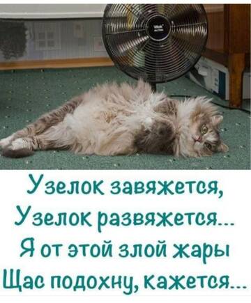 https://upforme.ru/uploads/000d/6b/61/4550/t834818.jpg