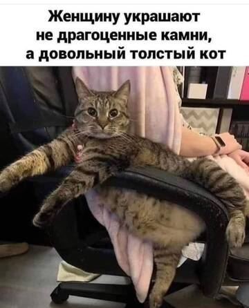 https://upforme.ru/uploads/000d/6b/61/4550/t905715.jpg