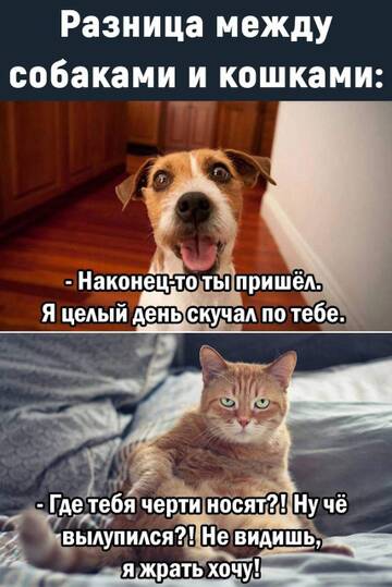 https://upforme.ru/uploads/000d/6b/61/4550/t978396.jpg