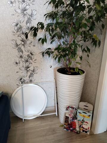 https://upforme.ru/uploads/000d/6b/61/4550/t97889.jpg