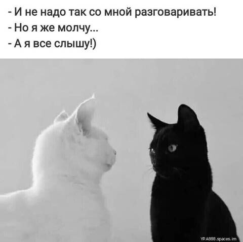 https://upforme.ru/uploads/000d/6b/61/4555/t10733.jpg
