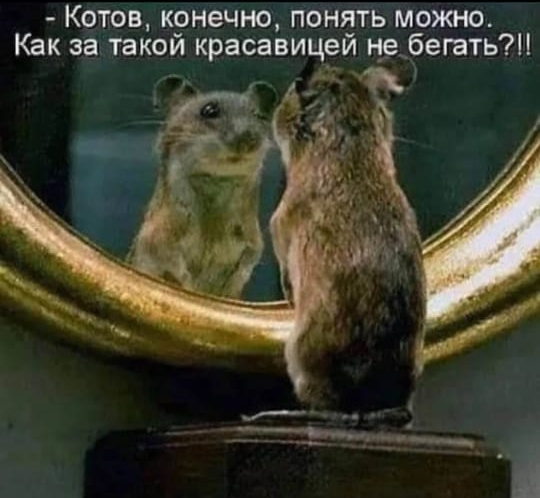 https://upforme.ru/uploads/000d/6b/61/4555/t135226.jpg