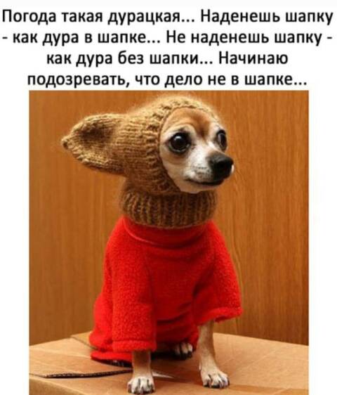 https://upforme.ru/uploads/000d/6b/61/4555/t169849.jpg