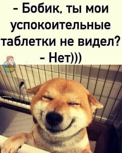 https://upforme.ru/uploads/000d/6b/61/4555/t225307.jpg
