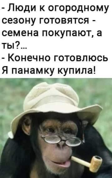 https://upforme.ru/uploads/000d/6b/61/4555/t546600.jpg