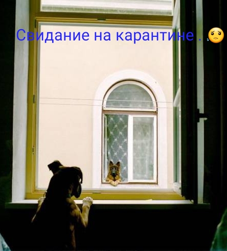 https://upforme.ru/uploads/000d/6b/61/4555/t709693.jpg