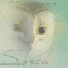 https://upforme.ru/uploads/000d/88/19/225-1.png
