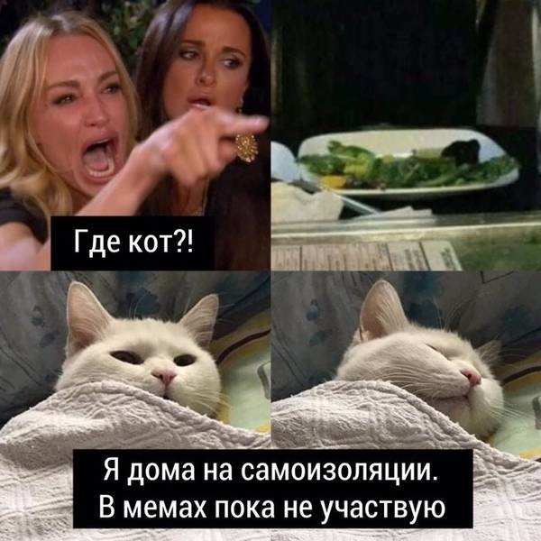 https://upforme.ru/uploads/000d/aa/a3/2/t15806.jpg