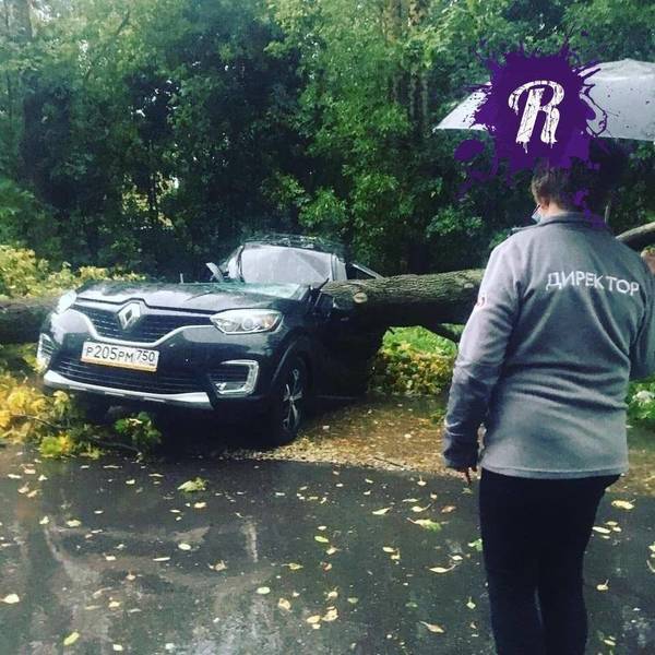 https://upforme.ru/uploads/000d/aa/a3/2/t226692.jpg