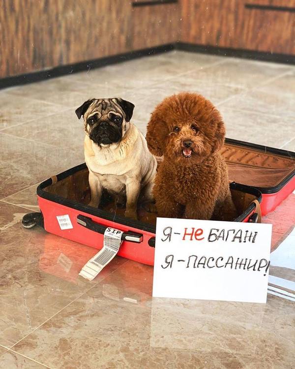 https://upforme.ru/uploads/000d/aa/a3/2/t31209.jpg