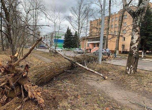 https://upforme.ru/uploads/000d/aa/a3/2/t33451.jpg