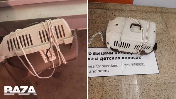 https://upforme.ru/uploads/000d/aa/a3/2/t47588.jpg