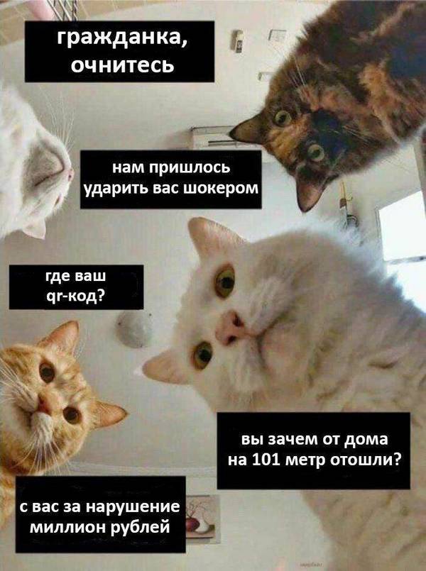 https://upforme.ru/uploads/000d/aa/a3/2/t49019.jpg