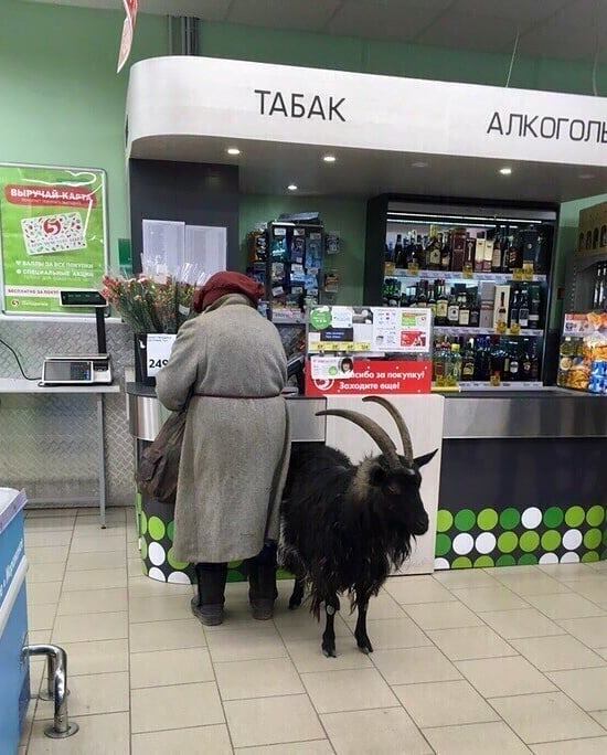 https://upforme.ru/uploads/000d/aa/a3/2/t55676.jpg