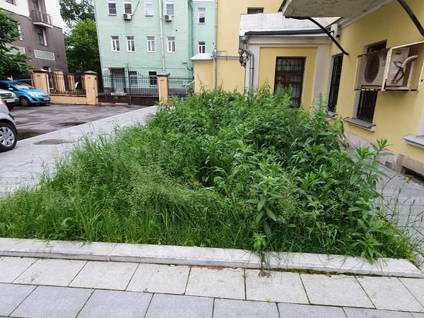 https://upforme.ru/uploads/000d/aa/a3/2/t61280.jpg