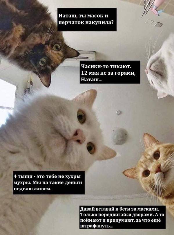 https://upforme.ru/uploads/000d/aa/a3/2/t619144.jpg
