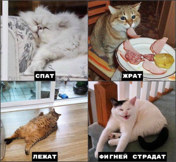 https://upforme.ru/uploads/000d/aa/a3/2/t633945.jpg