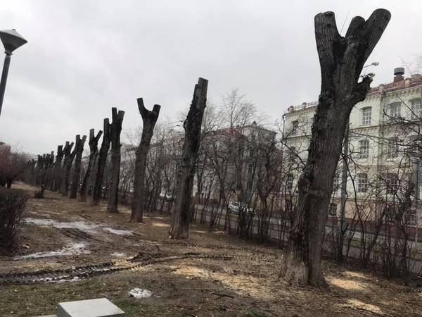 https://upforme.ru/uploads/000d/aa/a3/2/t65102.jpg