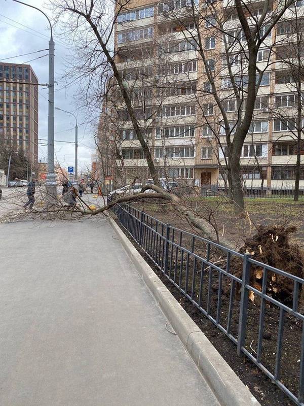 https://upforme.ru/uploads/000d/aa/a3/2/t77519.jpg