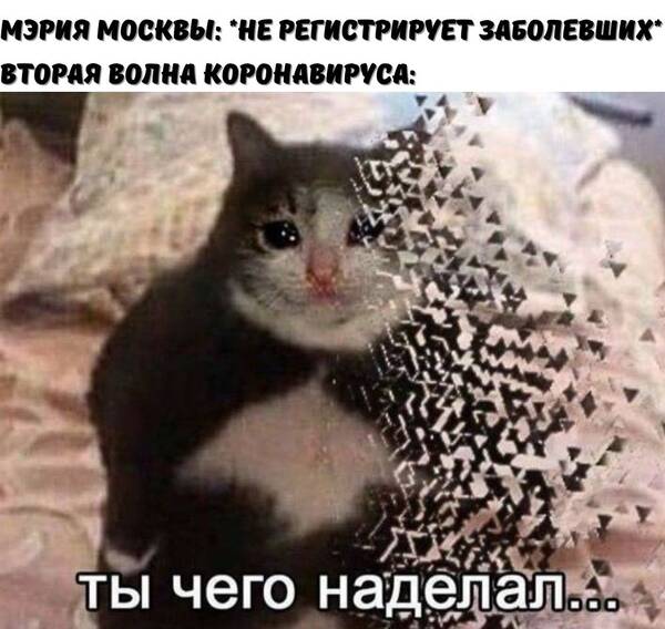 https://upforme.ru/uploads/000d/aa/a3/2/t77844.jpg