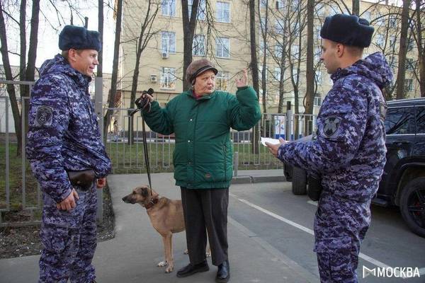 https://upforme.ru/uploads/000d/aa/a3/2/t79333.jpg