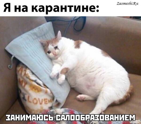 https://upforme.ru/uploads/000d/aa/a3/2/t847036.jpg