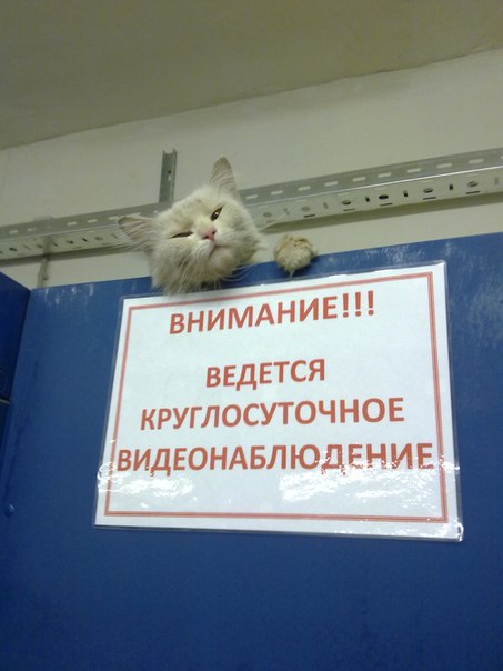 https://upforme.ru/uploads/000d/aa/a3/2/t860846.jpg