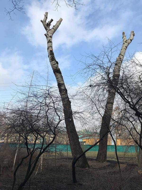 https://upforme.ru/uploads/000d/aa/a3/2/t89681.jpg