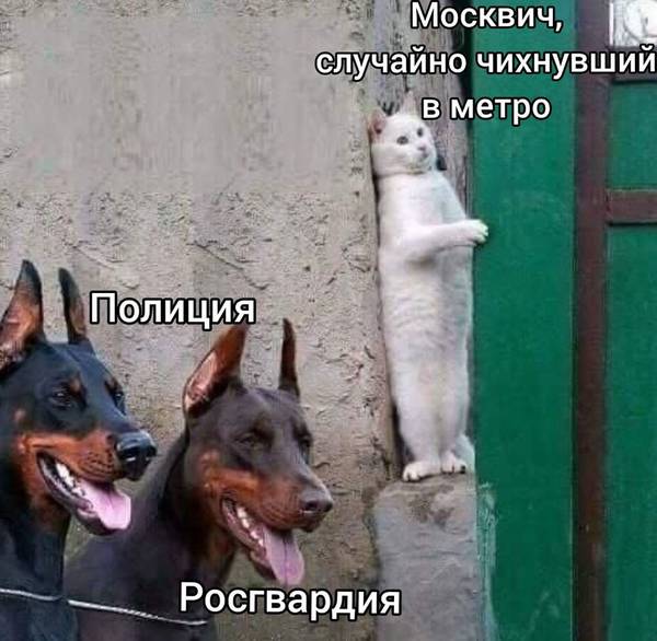 https://upforme.ru/uploads/000d/aa/a3/2/t911503.jpg