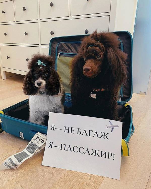 https://upforme.ru/uploads/000d/aa/a3/2/t96485.jpg