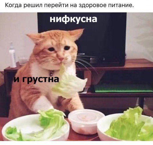 https://upforme.ru/uploads/000d/aa/a3/2/t97604.jpg