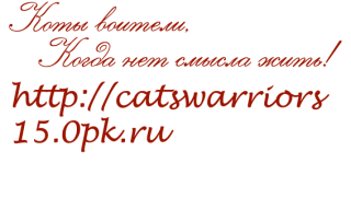 Коты воители, когда нет смысла жить