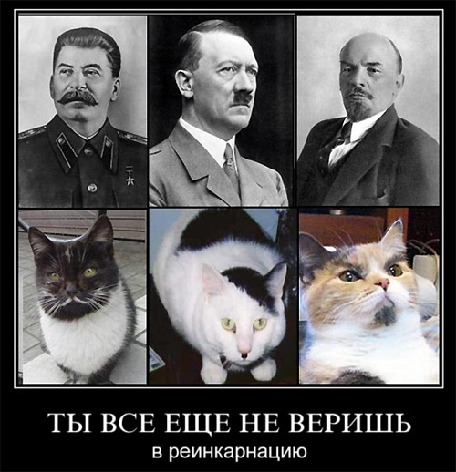 https://upforme.ru/uploads/000e/1b/4c/7929-1-f.jpg
