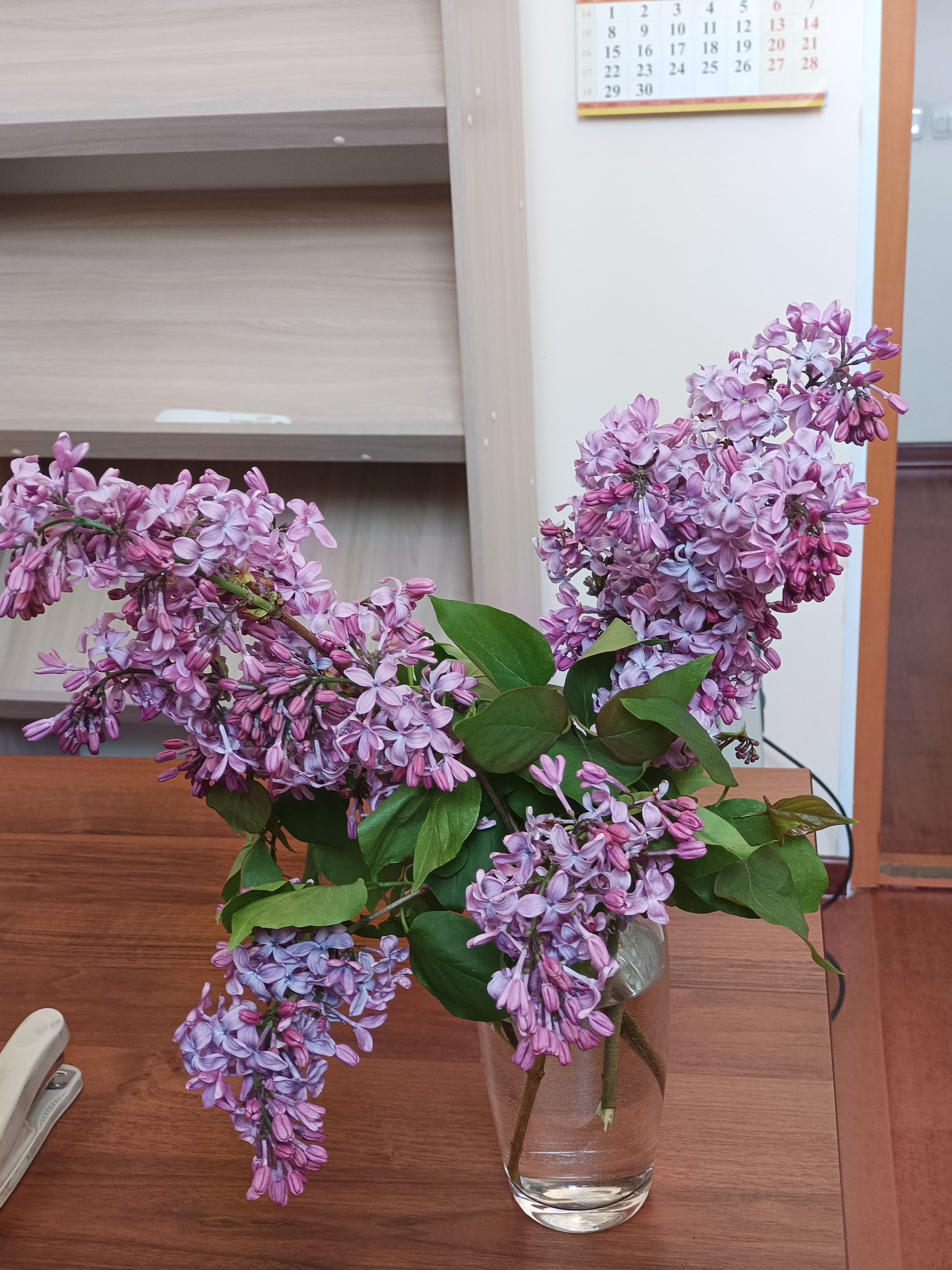 https://upforme.ru/uploads/000e/22/ee/13/772192.jpg