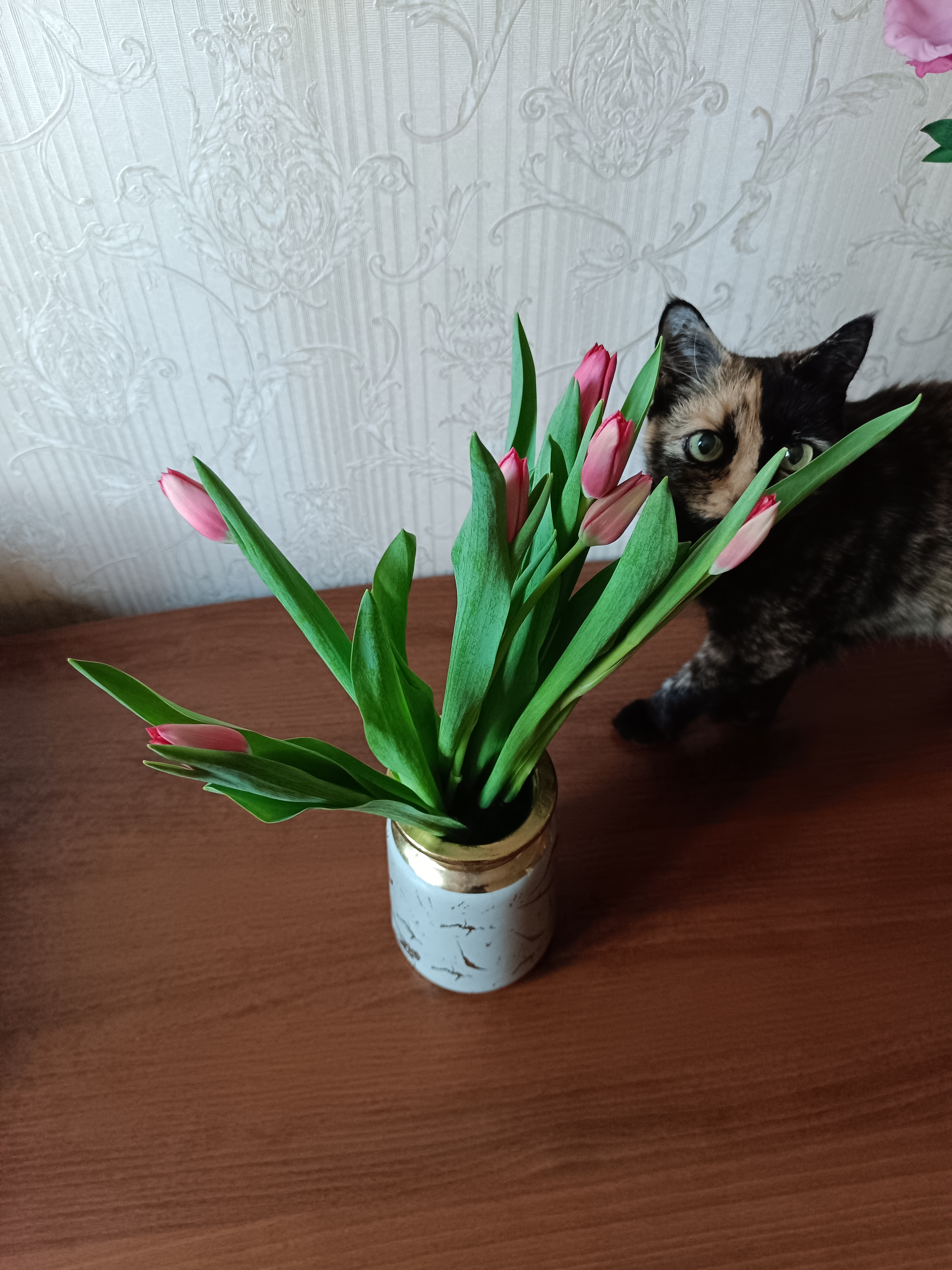 https://upforme.ru/uploads/000e/22/ee/13/913643.jpg