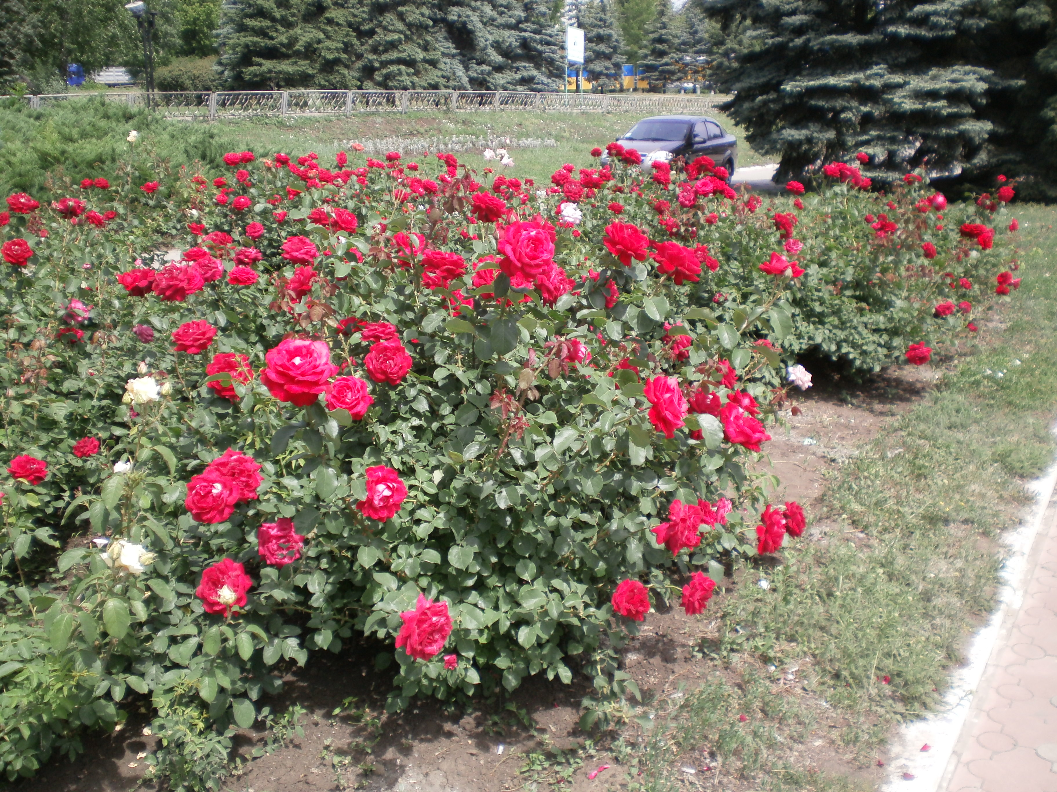 https://upforme.ru/uploads/000e/22/ee/30/737467.jpg