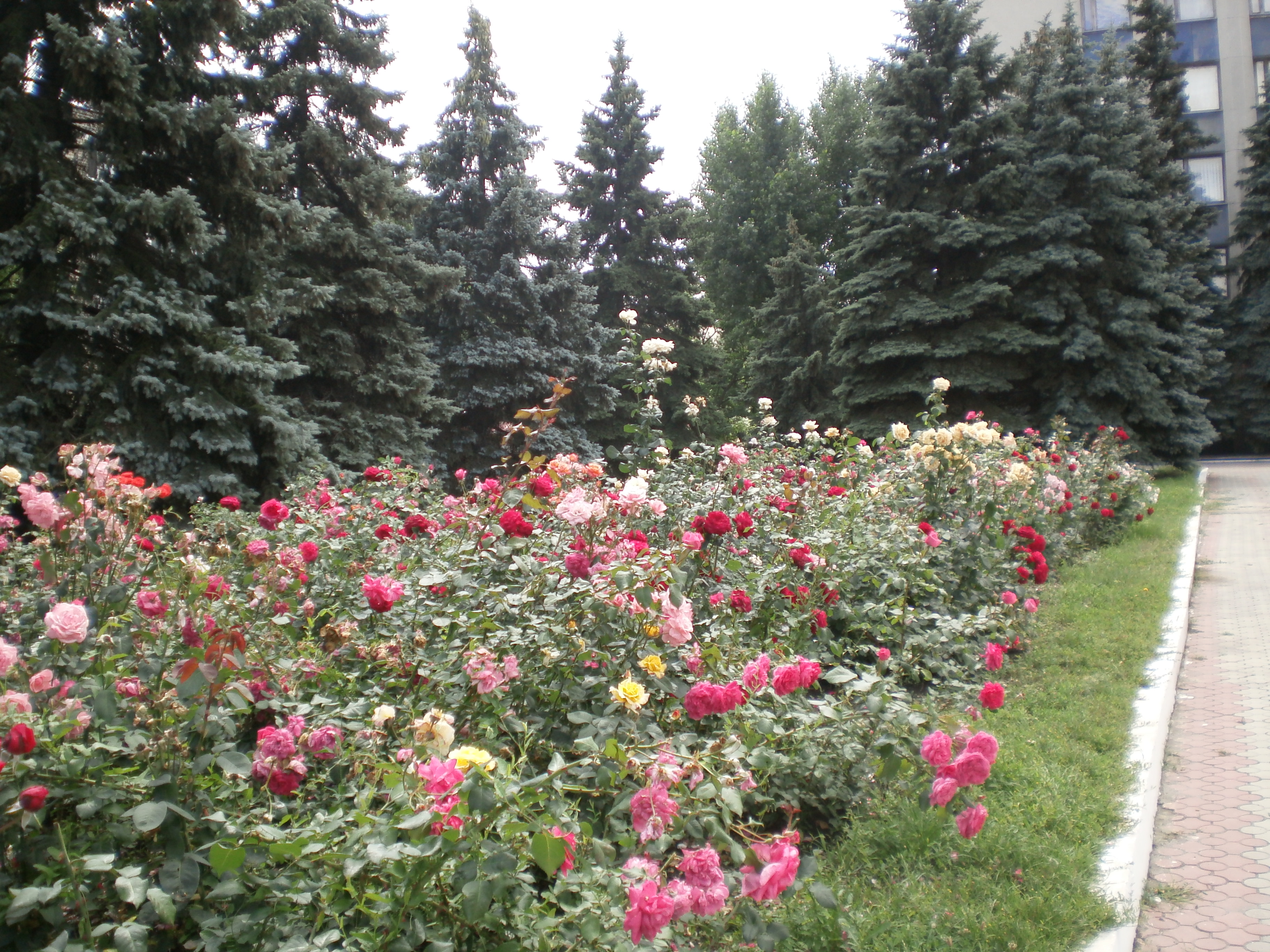 https://upforme.ru/uploads/000e/22/ee/30/919780.jpg