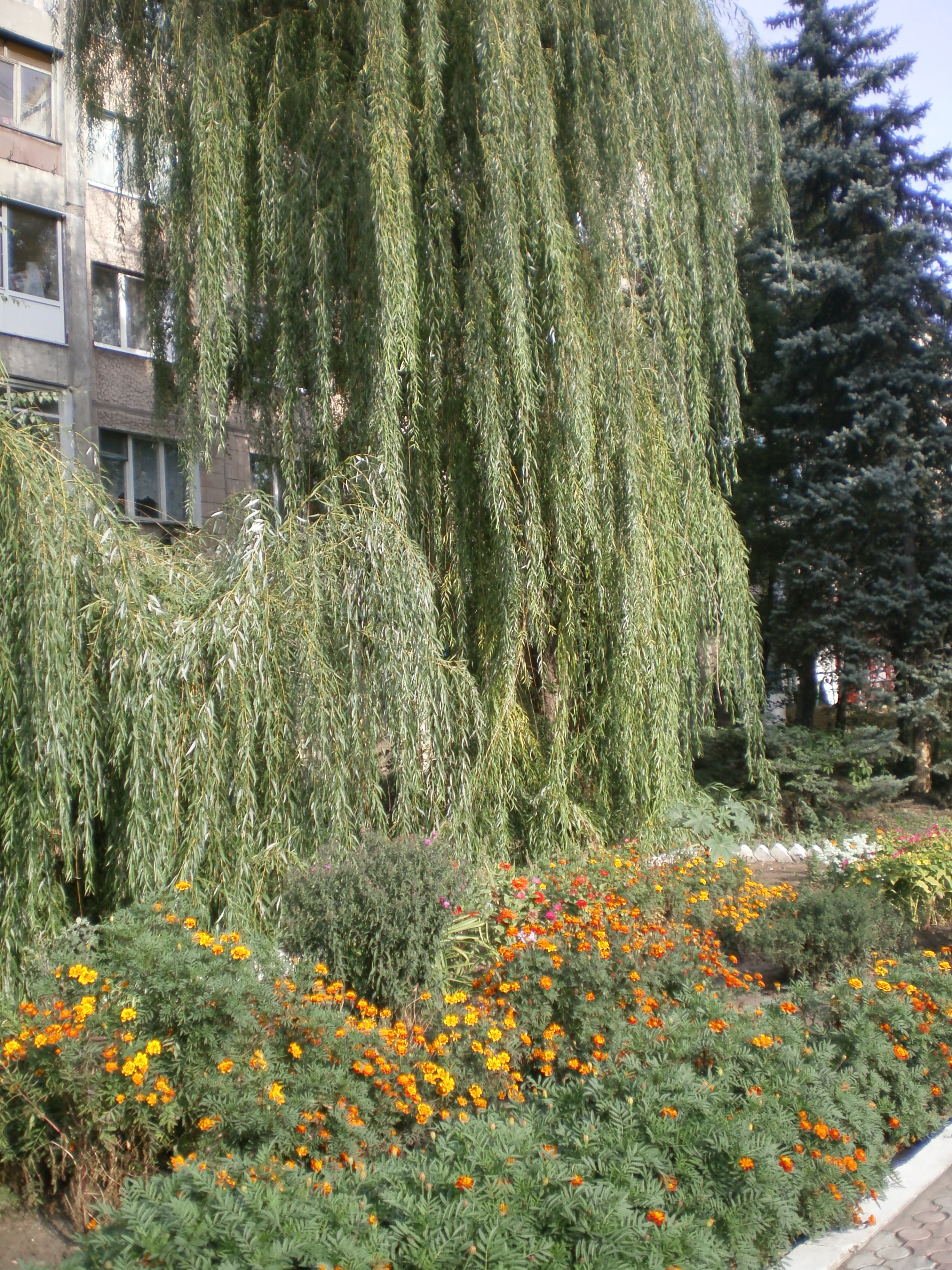 https://upforme.ru/uploads/000e/22/ee/30/94480.jpg