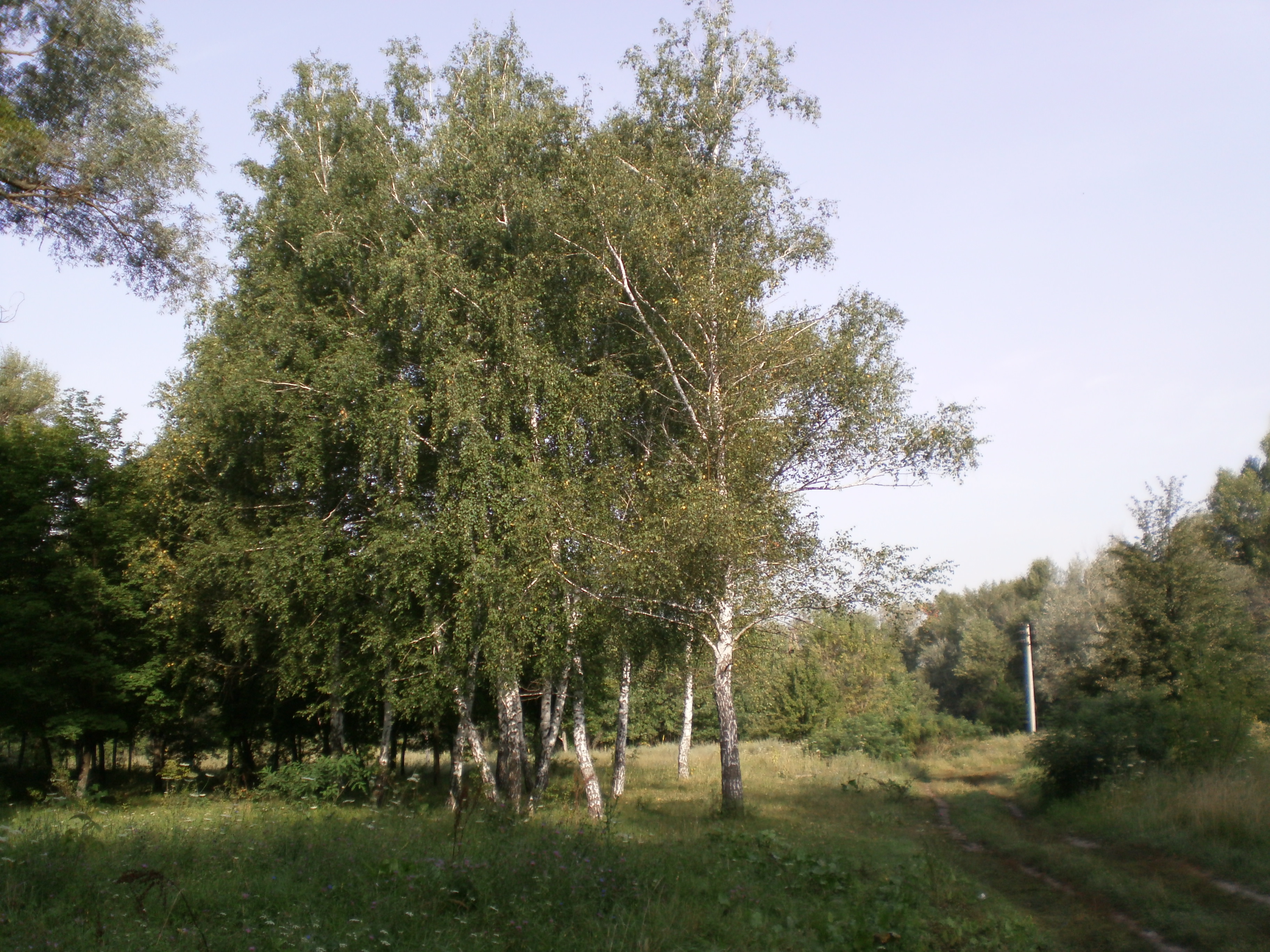 https://upforme.ru/uploads/000e/22/ee/5/380116.jpg
