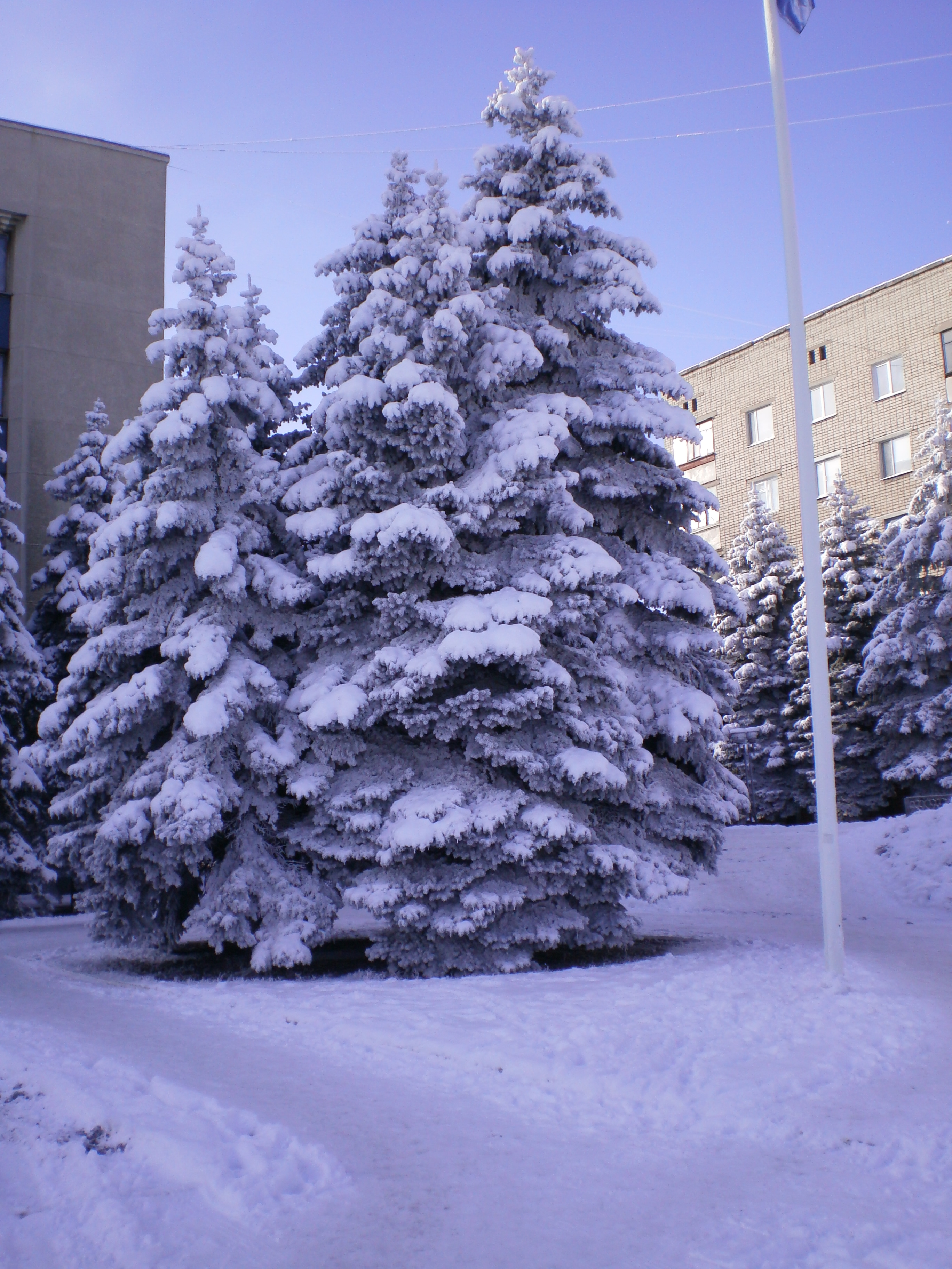 https://upforme.ru/uploads/000e/22/ee/5/387947.jpg