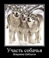 https://upforme.ru/uploads/000e/25/51/101/t913241.jpg