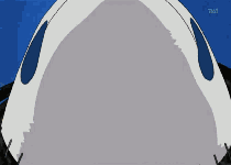 https://upforme.ru/uploads/000e/25/d4/151-1.gif