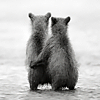 https://upforme.ru/uploads/000e/32/ad/18817-5.png