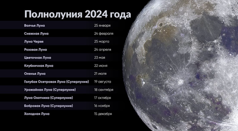 https://upforme.ru/uploads/000e/3d/72/173/t259846.png