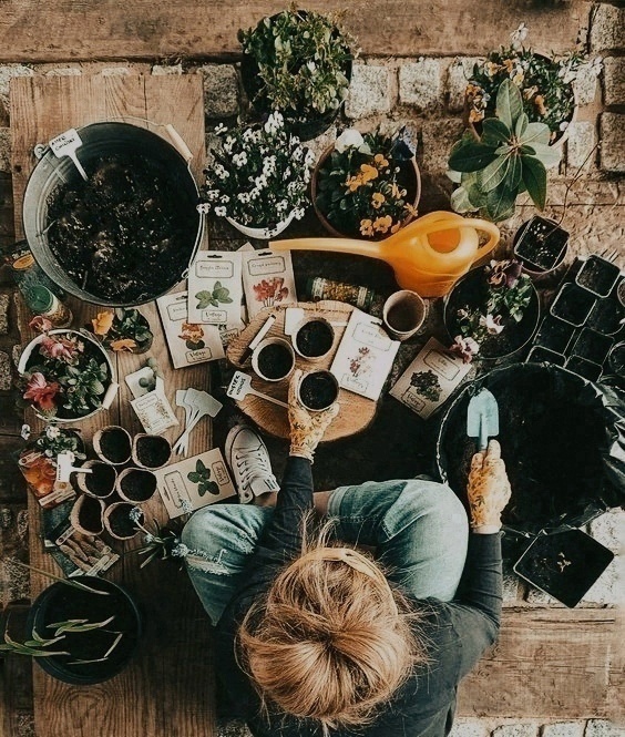https://upforme.ru/uploads/000e/3d/72/40/307765.jpg
