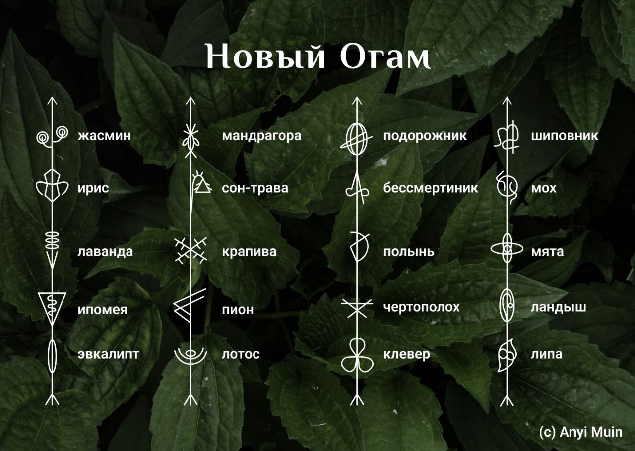 https://upforme.ru/uploads/000e/3d/72/40/970309.jpg