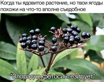 https://upforme.ru/uploads/000e/3d/72/40/t885545.jpg