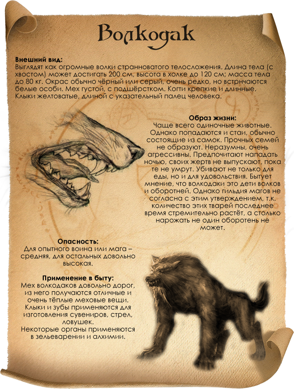 https://upforme.ru/uploads/000e/4d/84/53043-2-f.png