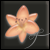 https://upforme.ru/uploads/000e/4d/84/72199-1.png